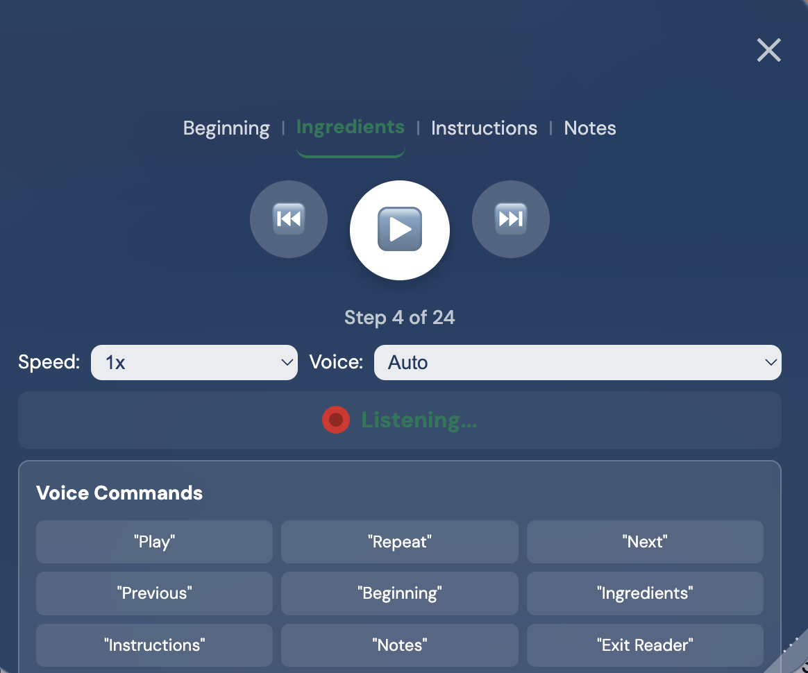 Screenshot of the audio player